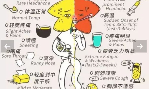 仲景系列中成药-仲景生产的全部中成药-仲景最牛的三个药,中国仲景常用药网站